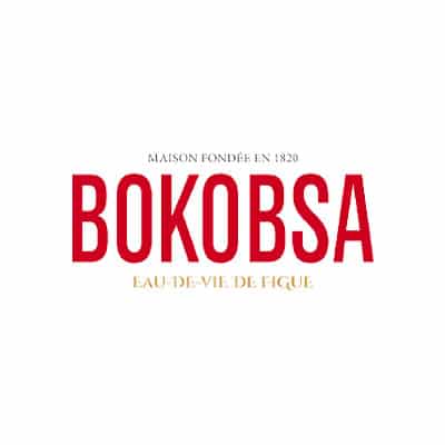logo-bokobsa